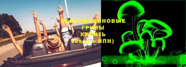 прущие грибы Горнозаводск