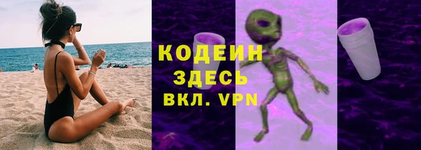 прущие грибы Горнозаводск