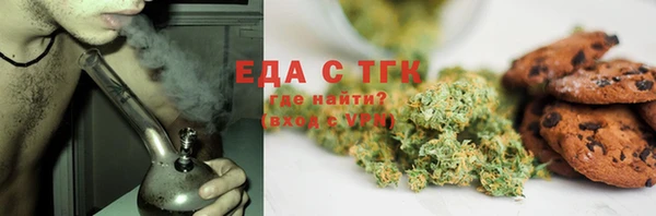 гидра Горняк