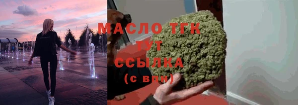 гидра Горняк