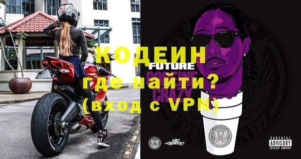 гидра Горняк