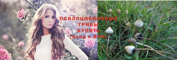 прущие грибы Горнозаводск