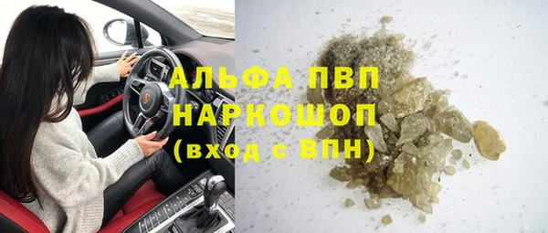 гидра Горняк