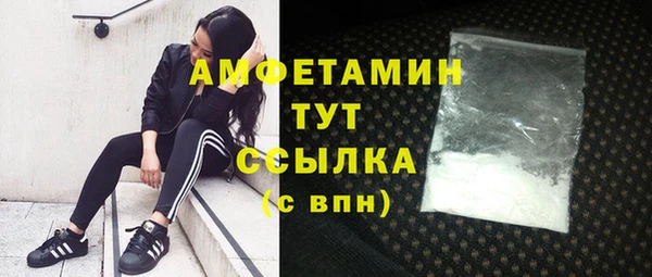 молекула духа Вязьма