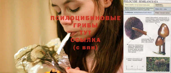 прущие грибы Горнозаводск