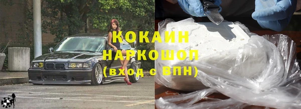 гидра Горняк
