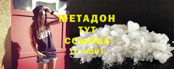 гидра Горняк