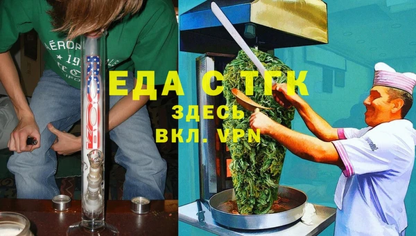 гидра Горняк