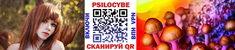 Галлюциногенные грибы Psilocybe  Петровск-Забайкальский 